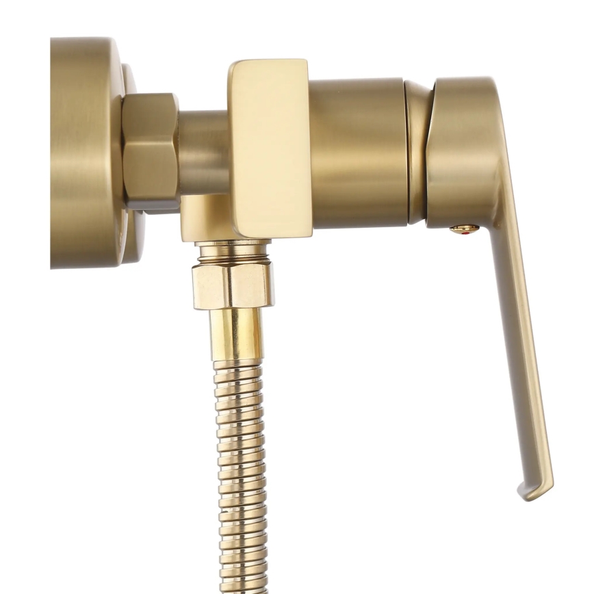 REA-B6403 - HASS Brushed Gold Shower Set with Mixer