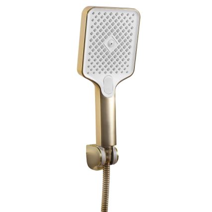 REA-B7100 - HASS Brushed Gold Bathtub Set