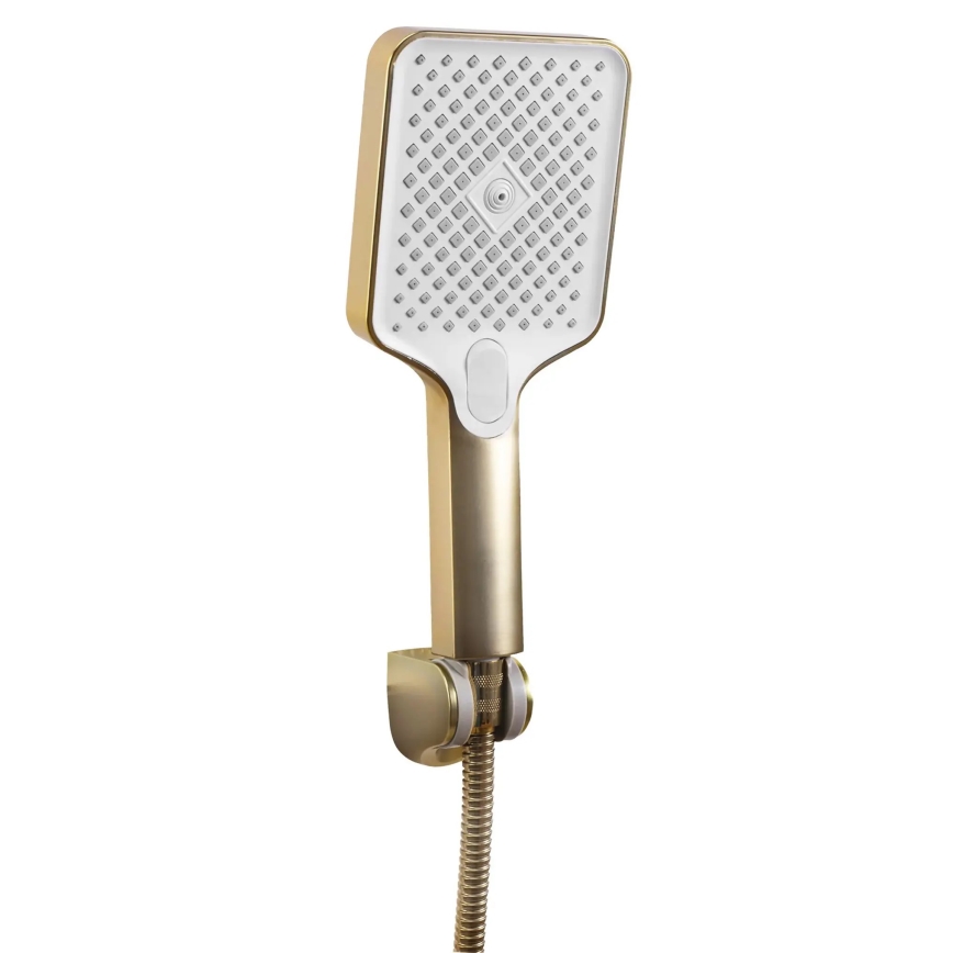REA-B7100 - HASS Brushed Gold Bathtub Set