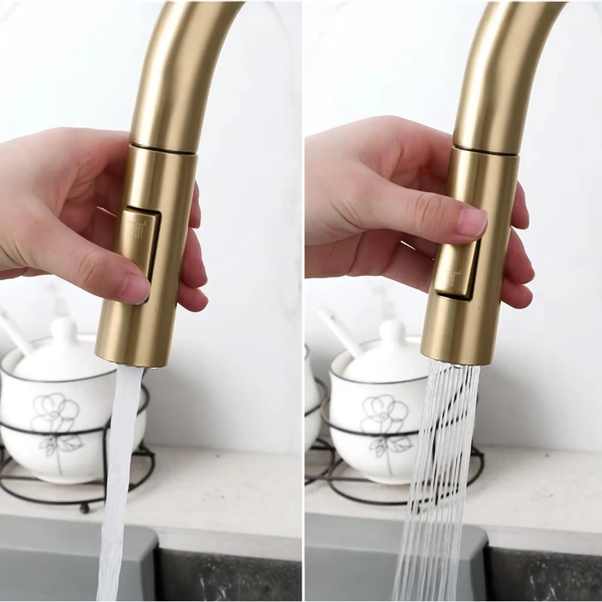 REA-B7596 - Kitchen sink faucet with pull-out sprayer and ECO FRESH filtration 37.5 cm brushed gold