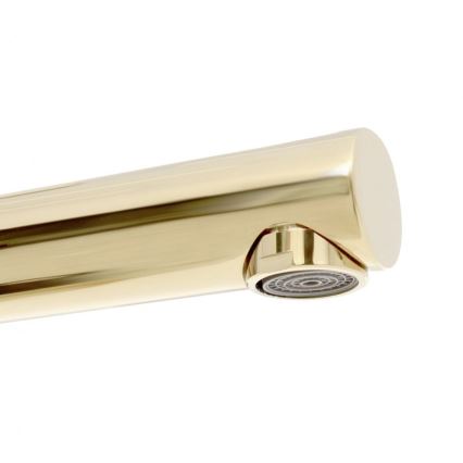 REA-B8803 - TESS 31.5 cm Gold Basin Mixer