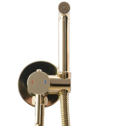 REA-B8979 - LUNGO Bidet Mixer with Hand Shower for Concealed Installation, Gold