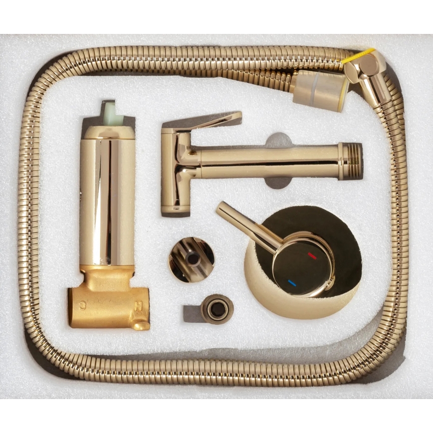 REA-B8979 - LUNGO Bidet Mixer with Hand Shower for Concealed Installation, Gold