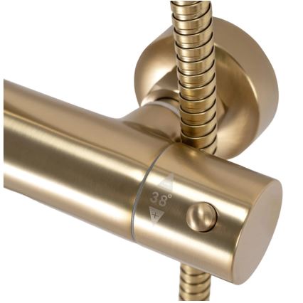 REA-P2323 - PAROT Thermostatic Shower Set, Brushed Gold