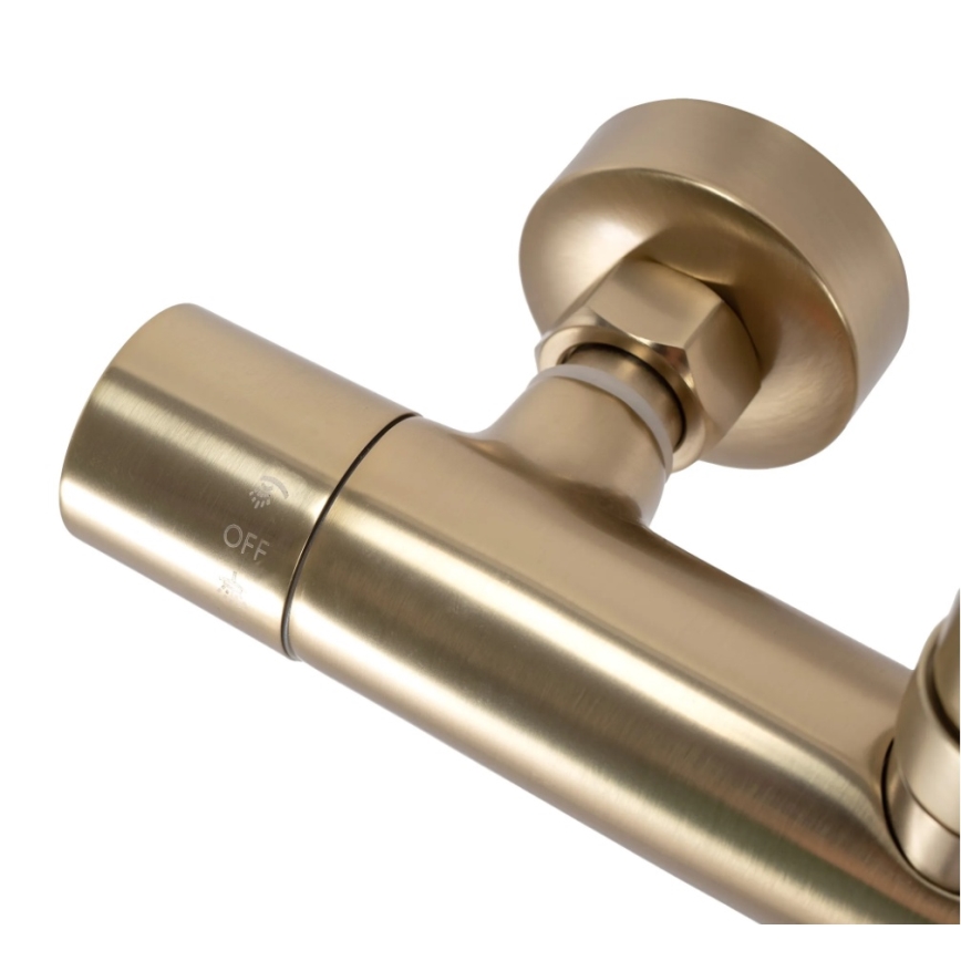 REA-P2323 - PAROT Thermostatic Shower Set, Brushed Gold