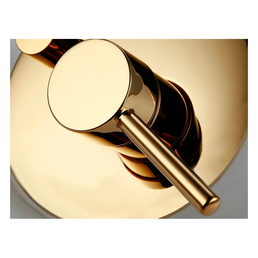 REA-P4110 - LUNGO Concealed Shower Set with Built-In Mixer, Gold