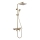 REA-P4121 - BRAVO Shower Set with Mixer Tap, Brushed Gold