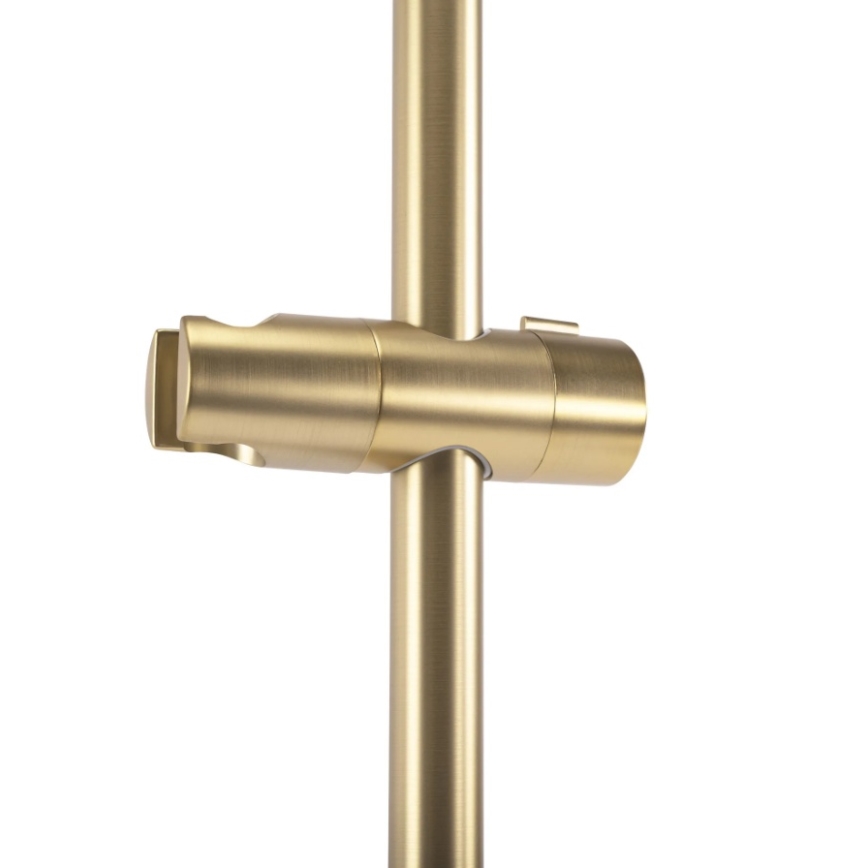 REA-P5981 - 70 cm Gold Handheld Shower Holder
