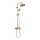 REA-P7051 - LUIS Brushed Gold Shower Set with Mixer Tap
