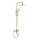 REA-P7841 - ARGUS Brushed Gold Shower Set with Mixer Tap