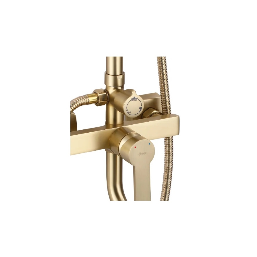 REA-P7841 - ARGUS Brushed Gold Shower Set with Mixer Tap