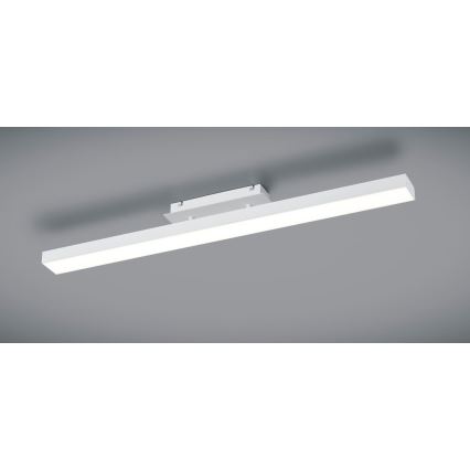 Reality - LED Dimmable ceiling light AGANO LED/18W/230V white