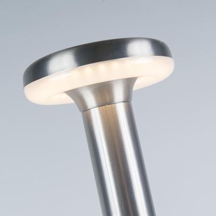 Reality - Outdoor LED lamp MANAUS LED/7W/230V IP44