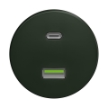 Reblig - Retro A+C USB socket, frameless, green