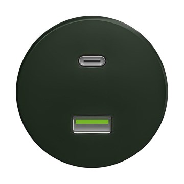 Reblig - Retro A+C USB socket, frameless, green