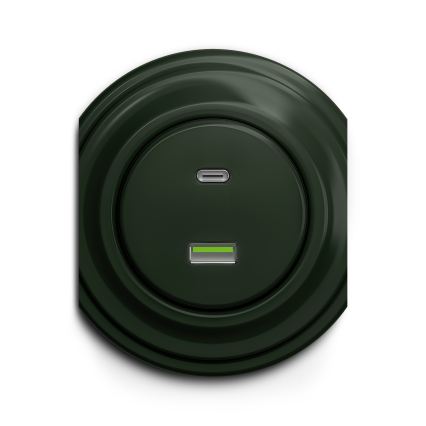 Reblig - Retro A+C USB socket, frameless, green