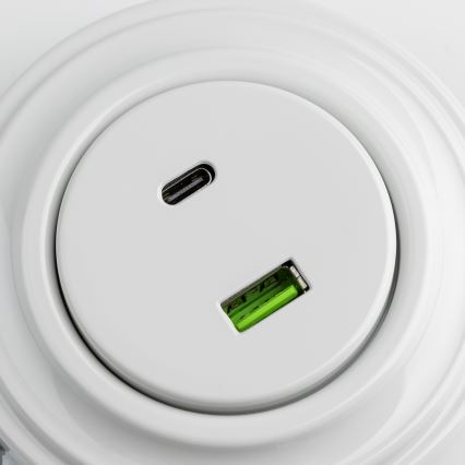 Reblig - Retro A+C USB Wall Outlet with Frame, White Ceramic