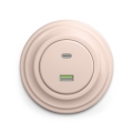 Reblig - Retro A+C USB Wall Socket with Frame, Old Rose