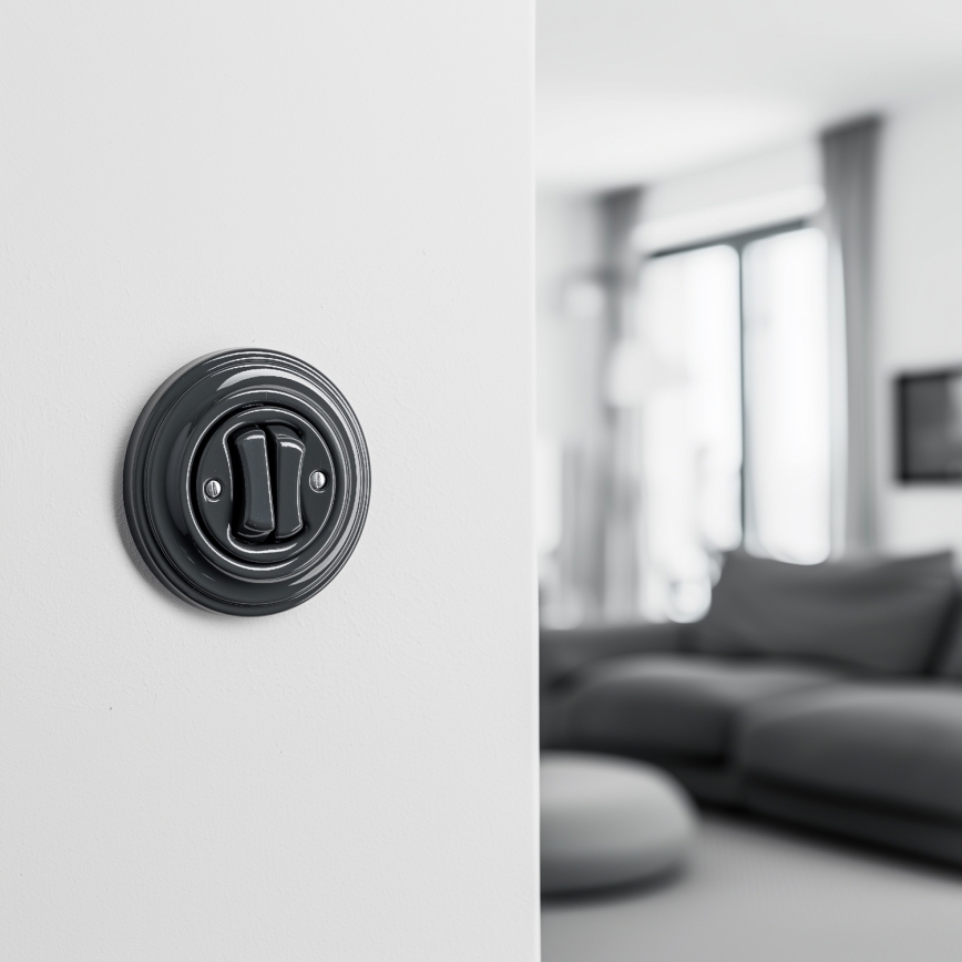 Reblig - Retro double switch with frame in anthracite