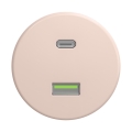 Reblig - Retro Frameless A+C USB Socket, Dusty Pink
