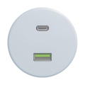 Reblig - Retro Frameless USB A+C Outlet Blue
