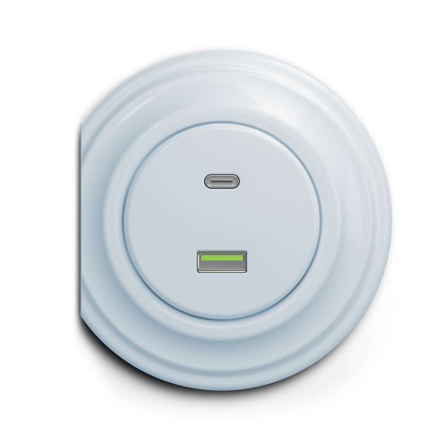 Reblig - Retro Frameless USB A+C Outlet Blue