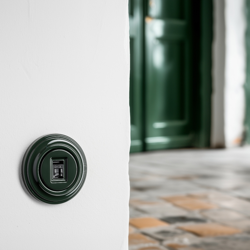 Reblig - Retro network outlet with green frame