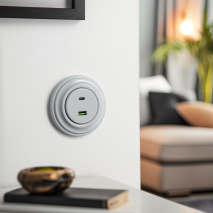 Reblig - Retro USB Outlet A+C with Gray Frame