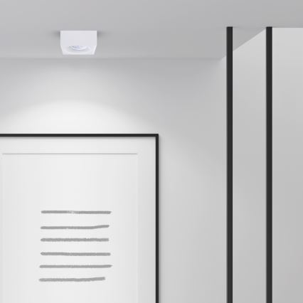 Recessed spotlight BALI 1xGU5,3/MR16/25W/12V square white