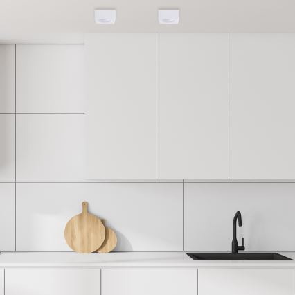 Recessed spotlight BALI 1xGU5,3/MR16/25W/12V square white