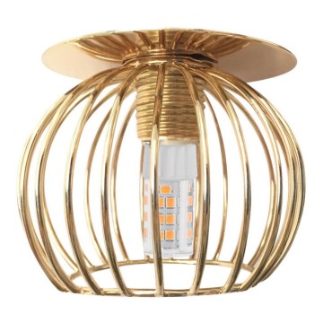 Recessed spotlight SK 93 1xG9/40W/230V gold