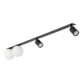 Recessed spotlight VOX 2xG9/8W/230V + 2xGU10/10W black
