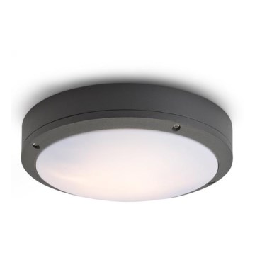 RED - Design Rendl - R10382 - Outdoor ceiling light SONNY 2xE27/18W/230V IP54
