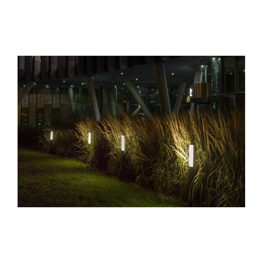 RED - Design Rendl - R10548 - LED Outdoor lamp VADIS LED/8W/230V IP54