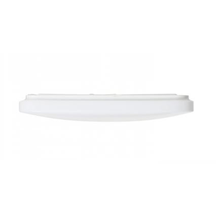 RED - Design Rendl - R12437 - LED Ceiling light SEMPRE LED/36W/230V square