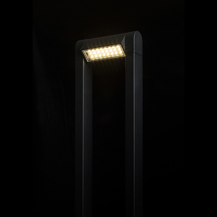 RED - Design Rendl - R12624 - LED Outdoor lamp AQUE LED/8W/230V IP54 black