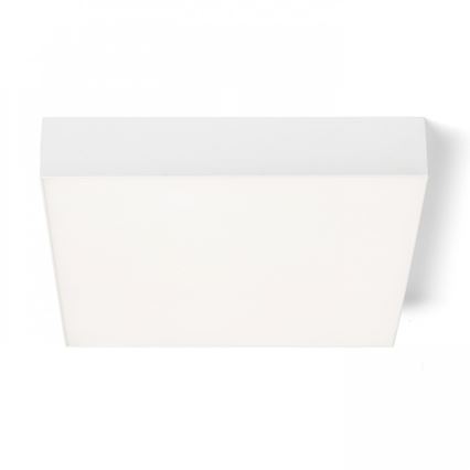 RED - Design Rendl - R12850 - LED Ceiling light LARISA LED/30W/230V white