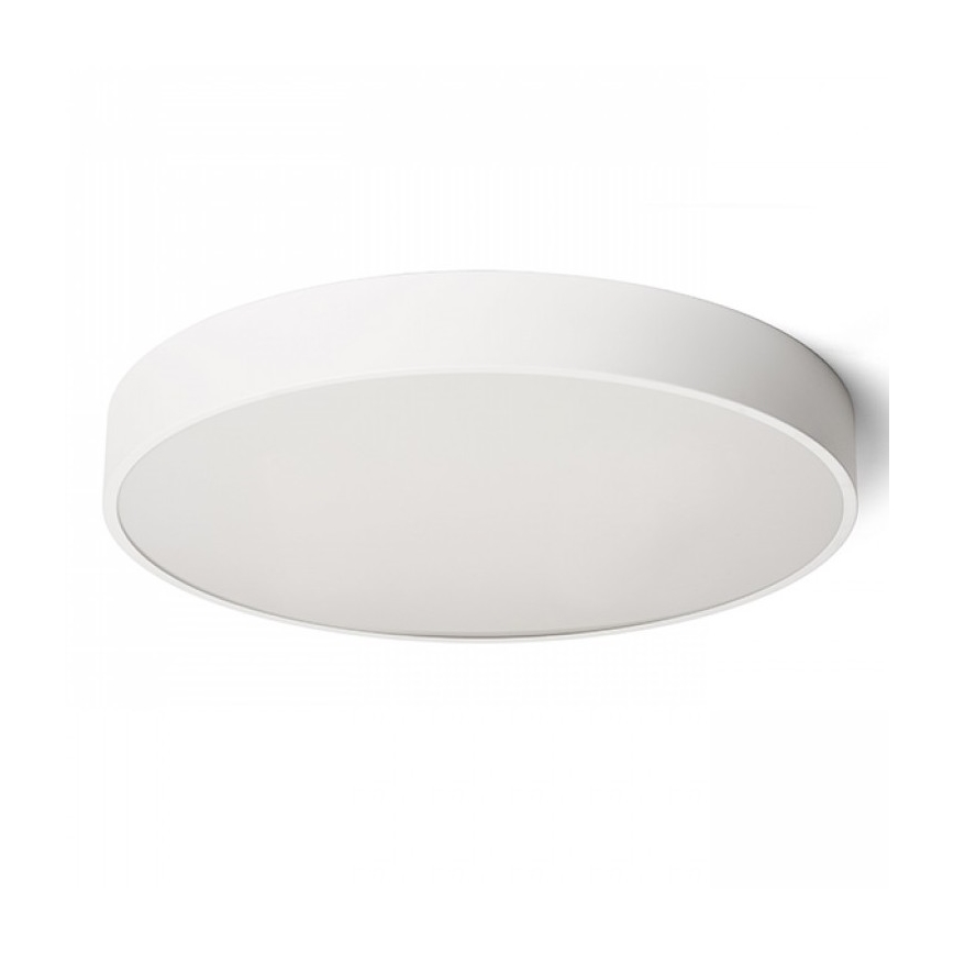 RED - Design Rendl - R13334 - LED Ceiling light MEZZO LED/100W/230V white