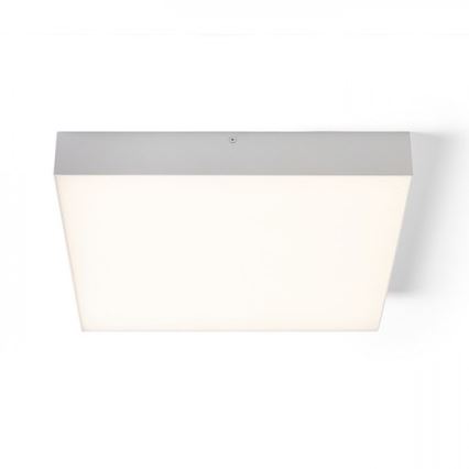 RED - Design Rendl - R13489 - LED Ceiling light LARISA LED/50W/230V white