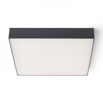 RED - Design Rendl - R13490 - LED Ceiling light LARISA LED/50W/230V black