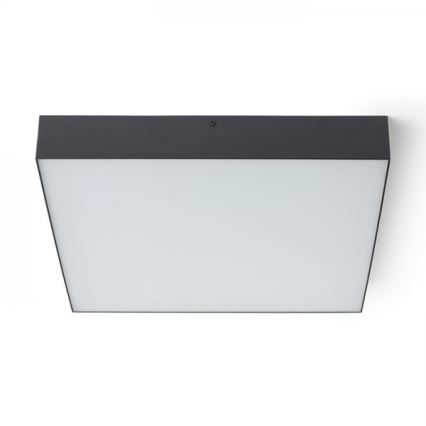 RED - Design Rendl - R13490 - LED Ceiling light LARISA LED/50W/230V black