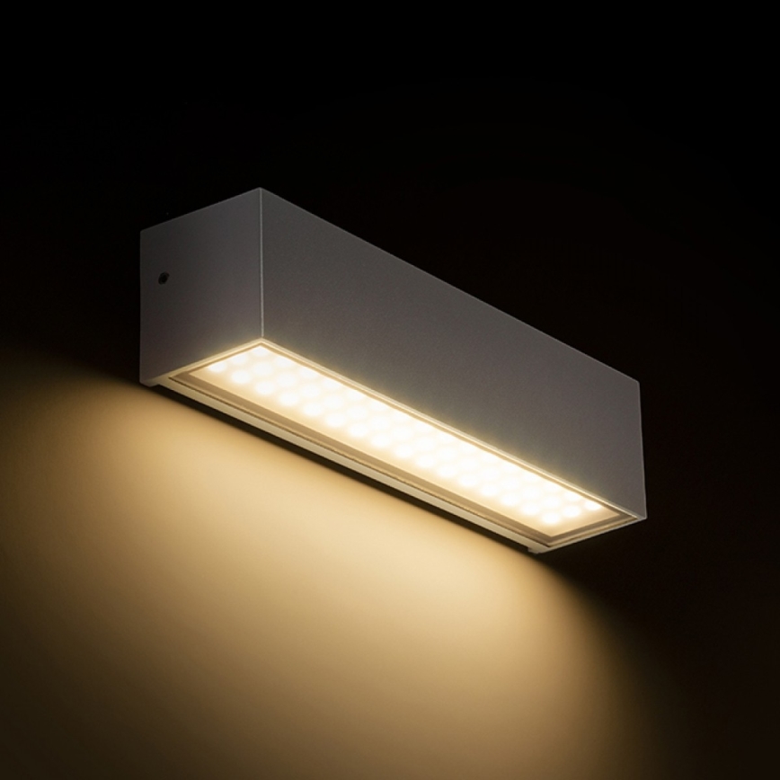RED - Design Rendl - R13527 - LED Outdoor wall light CAMARGUE LED/6W/230V IP65