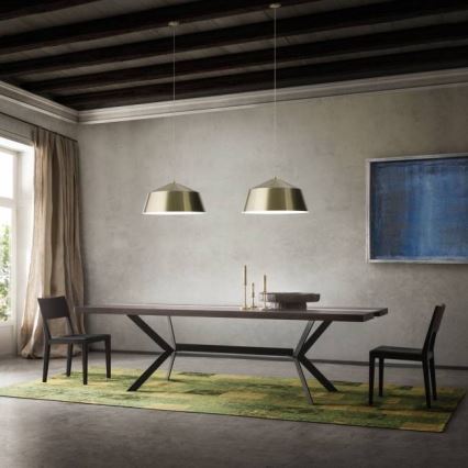 Redo 01-1102 - Chandelier on a string AYLA 1xE27/42W/230V d. 56 cm gold