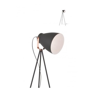 Redo 01-1276 - Floor lamp ARNE 1xE27/42W/230V black