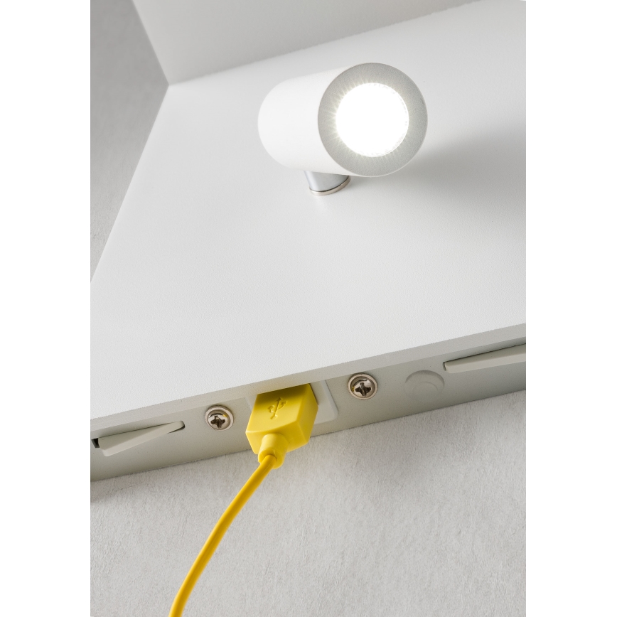 Redo 01-1499 - LED Wall spotlight AGOS LED/6W/230V + LED/3,2W USB white