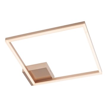 Redo 01-1639 - KLEE Dimmable LED Ceiling Light LED/30W/230V 45x45 cm gold