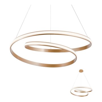 Redo 01-1796 - LED Chandelier on a string TORSION LED/40W/230V
