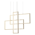 Redo 01-2314 - LED Dimmable Cable Pendant Lamp PLANA LED/60W/230V, Gold