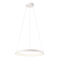 Redo 01-2672 - LED Dimmable cable-hung pendant ICONIC LED/50W/230V Ø 58 cm White