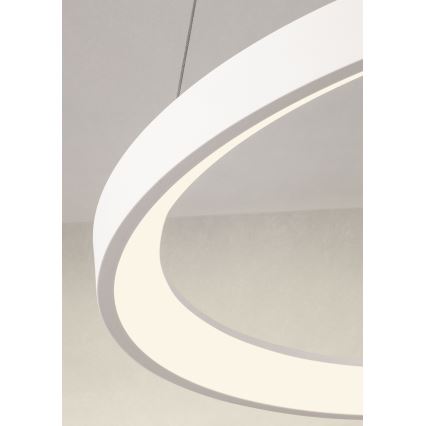 Redo 01-2672 - LED Dimmable cable-hung pendant ICONIC LED/50W/230V Ø 58 cm White